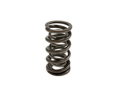 Brian Tooley Racing SP010-1 BTR DUAL SPRING