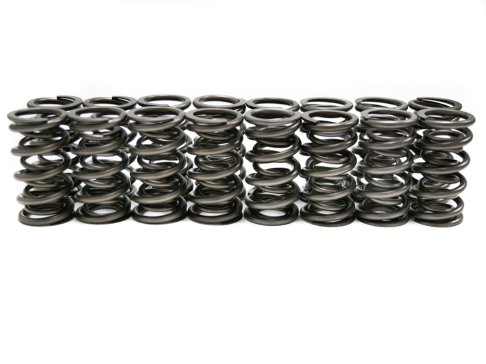 Brian Tooley Racing SP010-16 BTR DUAL SPRING SET