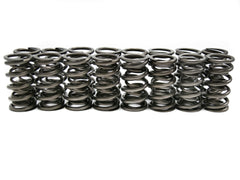 Brian Tooley Racing SP010-16 BTR DUAL SPRING SET