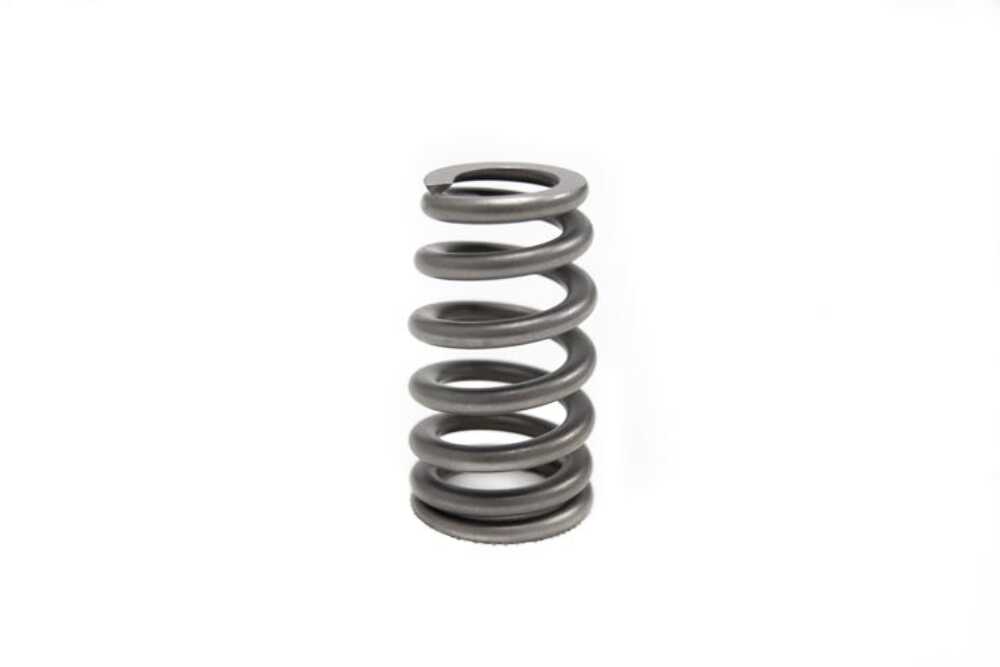 Brian Tooley Racing SP011-1 BTR LS6 BEEHIVE VALVE SPRING