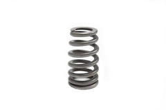 Brian Tooley Racing SP011-1 BTR LS6 BEEHIVE VALVE SPRING