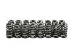 Brian Tooley Racing SP011-16 BTR .560" LS6 BEEHIVE VALVE SPRING SET