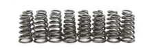 Brian Tooley Racing SP014-16 BTR LTx CONICAL SPRING KIT