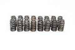 Brian Tooley Racing SP100-16 BTR MOPAR 5.7L .625 LIFT VALVE SPRING