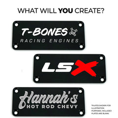 Brian Tooley Racing VCA-03-BLK-VP BTR DIE CAST VANITY VALVE COVER SET - BLACK - VCA-03-BLK-VP
