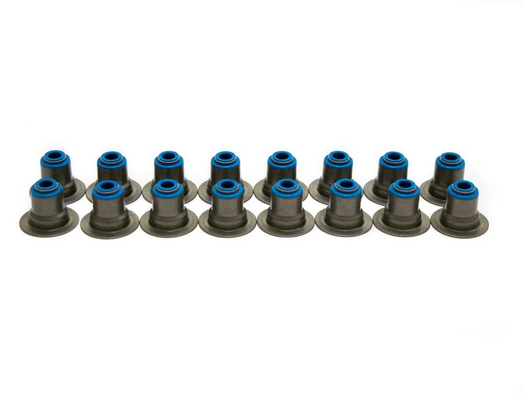 Brian Tooley Racing VS LS HAT KIT BTR VALVE SEAL SET
