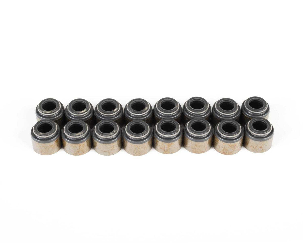 Brian Tooley Racing VS LS KIT BTR VALVE SEAL KIT