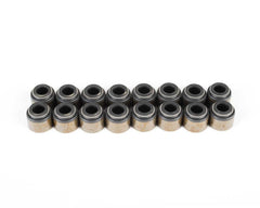 Brian Tooley Racing VS LS KIT BTR VALVE SEAL KIT