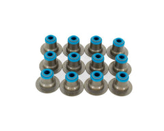 Brian Tooley Racing VS V6 HAT KIT BTR VALVE SEAL SET - GEN V LT V6 - VS V6 HAT KIT