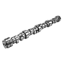 Competition Cams Godzilla Stage 2 NSR Hydraulic Roller 405-203-17