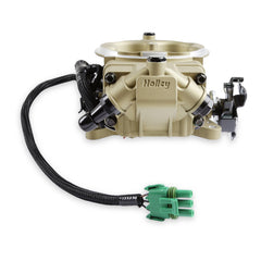 Holley EFI Fuel Injection Conversion Kit 550-1076