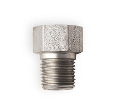 Earl's Performance Plumbing 02102ERL 1/8 NPT MALE EXPANDER TO 10MM X 10 IF FE