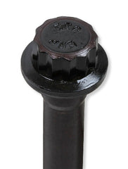 Earl's Performance Plumbing TBS-002ERL HEAD BOLTS GM LS 12-PT HEAD 2004-14
