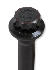 Earl's Performance Plumbing TBS-002ERL HEAD BOLTS GM LS 12-PT HEAD 2004-14