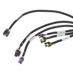 Holley EFI Engine Wiring Harness 558-134