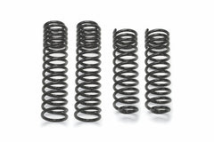 Fabtech FTS24154 Long Travel Coils