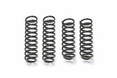 Fabtech FTS24162 Standard Coils