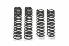 Fabtech FTS24163 Long Travel Coils