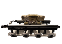 FiTech 37006 Retro LS Port 750 HP EFI Classic Gold System With LS1 Intake