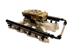 FiTech 37006 Retro LS Port 750 HP EFI Classic Gold System With LS1 Intake