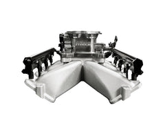 FiTech 37016 Ultra Port LS 750 HP EFI Brilliant System With LS1 Intake