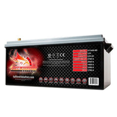 Fullriver Battery FT1450-8D Full Throttle 12V Automotive Battery
