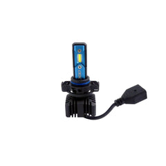 ODX H16 E-BRYD LED BULB (Box of 2) LEDEBRYD-H16