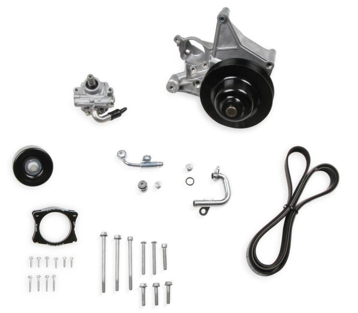 Holley 20-233 RETRO-FIT ADD-ON P/S LT5 DRY-NATURAL