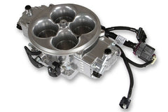 Holley EFI 534-301 Terminator X Stealth 4500 System