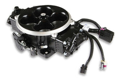 Holley EFI 534-302 Terminator X Stealth 4500 System