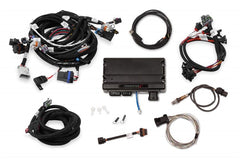 Holley EFI 550-903T TERMINATOR X MPFI, LS1
