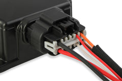 Holley Sniper EFI Ignition Harness PN. 556-156