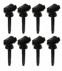 Holley EFI Ignition Coil 556-161