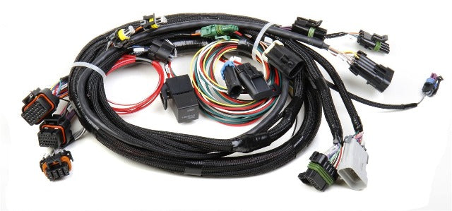 Holley EFI 558-101 TPI/STEALTHRAM MAIN HARNESS