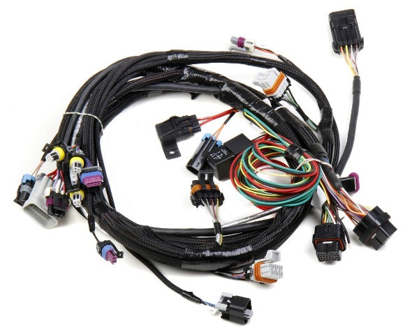 Holley EFI 558-102 LS1 MAIN HARNESS