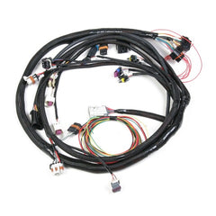 Holley EFI 558-103 LS2 MAIN HARNESS
