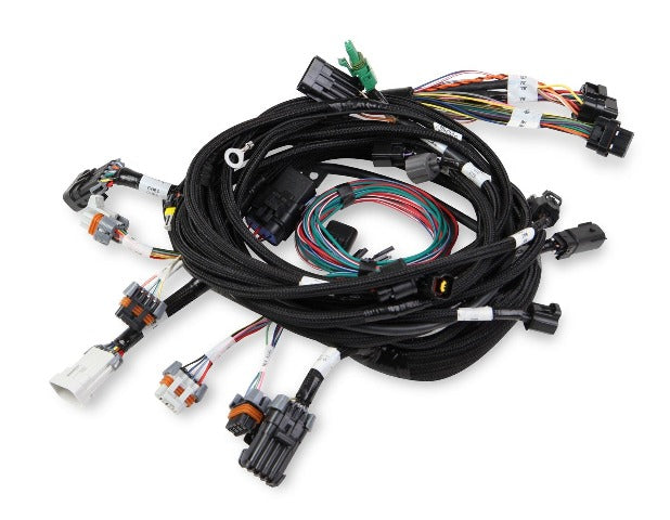 Holley EFI 558-108 MAIN HARNESS, 99-04 FORD MODULAR