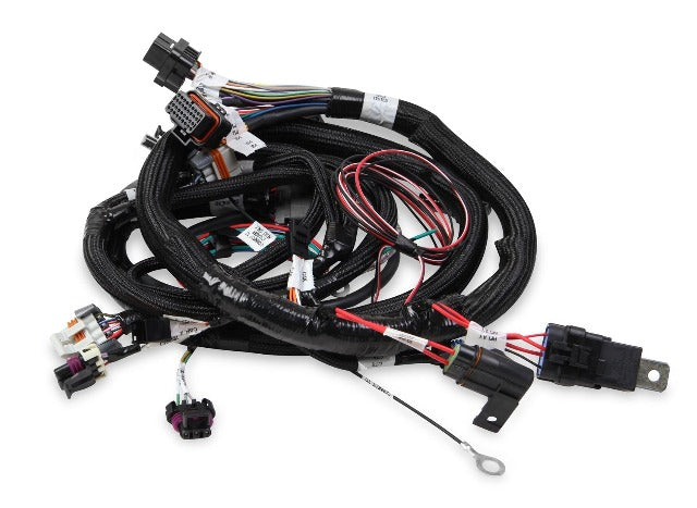 Holley EFI 558-111 MAIN HARNESS, TERMINATOR TBI, LSX, 24X