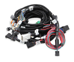 Holley EFI 558-113 MAIN HARNESS, 99-04 FORD MODULAR, W/ SMA