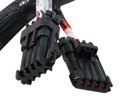 Holley EFI 558-121 2X4 TERMINATOR STEALTH MAIN HARNESS