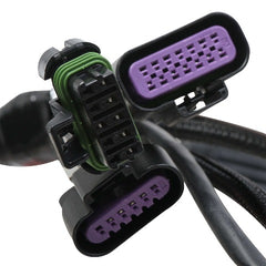 Holley EFI 558-121 2X4 TERMINATOR STEALTH MAIN HARNESS