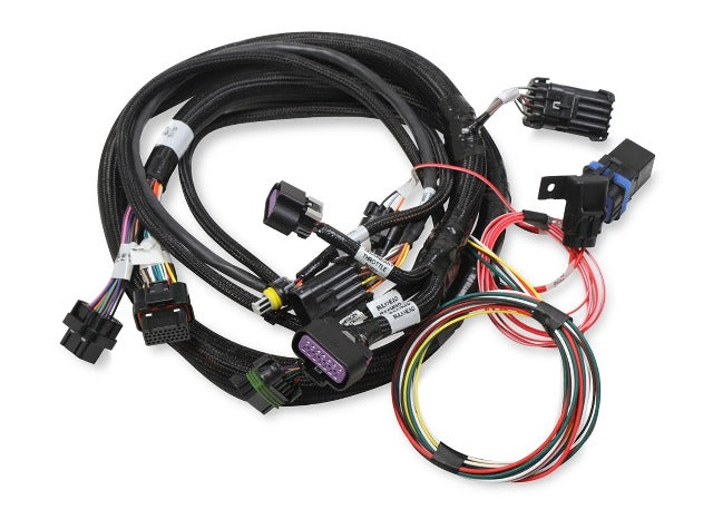 Holley EFI 558-121 2X4 TERMINATOR STEALTH MAIN HARNESS