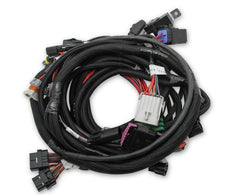 Holley EFI 558-122 MAIN HARNESS, FORD COYOTE TI-VCT SMART