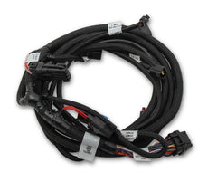 Holley EFI 558-124 SUB HARNESS, FORD COYOTE TI-VCT