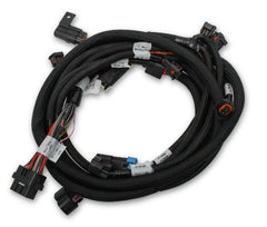 Holley EFI 558-125 SUB HARNESS, FORD COYOTE TI-VCT