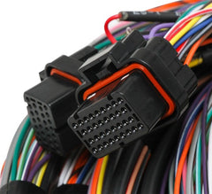 Holley EFI 558-126 FLYING LEAD MAIN HARNESS