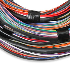 Holley EFI 558-126 FLYING LEAD MAIN HARNESS