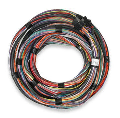 Holley EFI 558-126 FLYING LEAD MAIN HARNESS