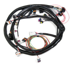 Holley EFI Engine Wiring Harness 558-128