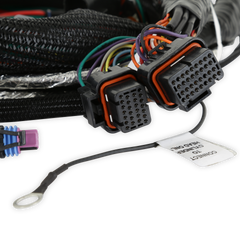 Holley EFI Engine Control Module (ECM) Wiring Harness PN. 558-129